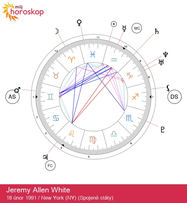 Jeremy Allen White: Vodnář s jedinečným charismatem