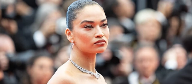 Shanina Shaik