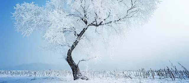 Horoskop pro Pátek 9 Leden 2026