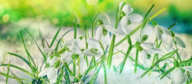 Horoskop pro Pondělí 12 Leden 2026