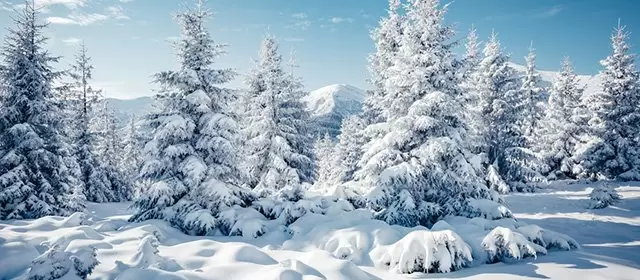 Horoskop pro Sobota 24 Leden 2026