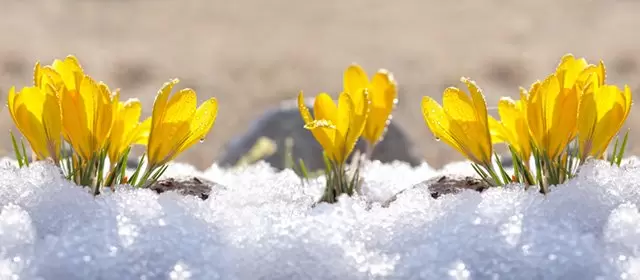 Horoskop pro Neděle 25 Leden 2026