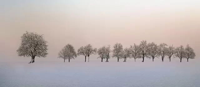 Horoskop pro Pondělí 16 únor 2026