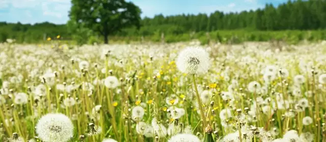 Horoskop pro úterý 3 Březen 2026