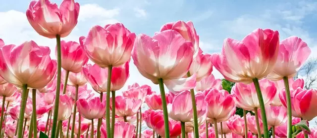 Horoskop pro Sobota 7 Březen 2026