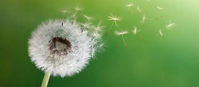 Horoskop pro Středa 11 Březen 2026