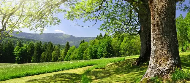 Horoskop pro Středa 1 Duben 2026