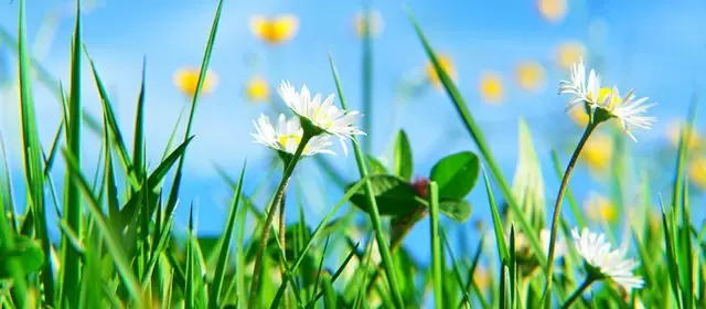 Horoskop pro Pátek 3 Duben 2026