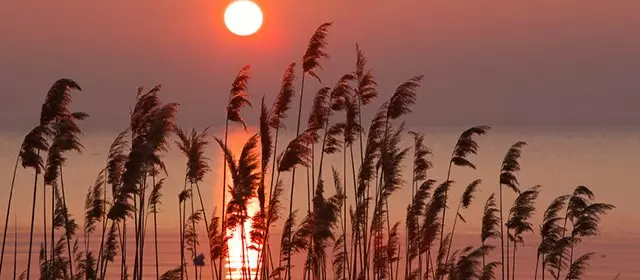 Horoskop pro Neděle 5 Duben 2026