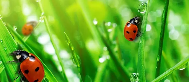 Horoskop pro Neděle 12 Duben 2026