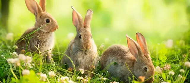 Horoskop pro Středa 15 Duben 2026