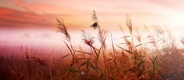 Horoskop pro úterý 5 Květen 2026