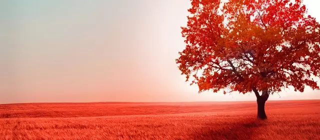 Horoskop pro Pátek 17 říjen 2025