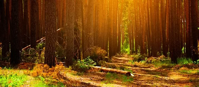 Horoskop pro Pondělí 20 říjen 2025