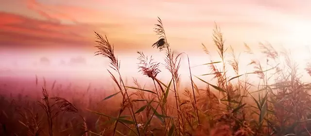 Horoskop pro úterý 4 Listopad 2025