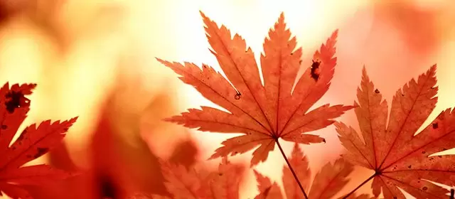 Horoskop pro Sobota 8 Listopad 2025