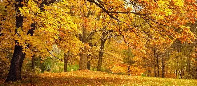 Horoskop pro Pondělí 10 Listopad 2025