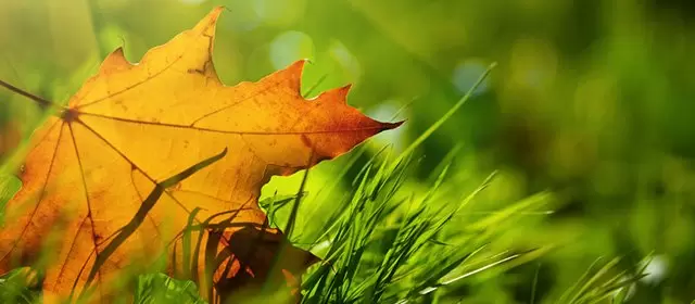 Horoskop pro úterý 11 Listopad 2025