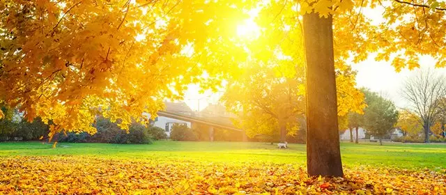 Horoskop pro Středa 12 Listopad 2025