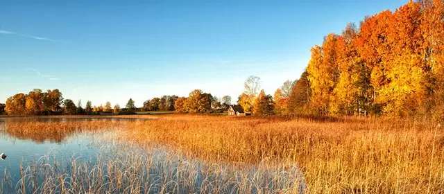 Horoskop pro čtvrtek 13 Listopad 2025