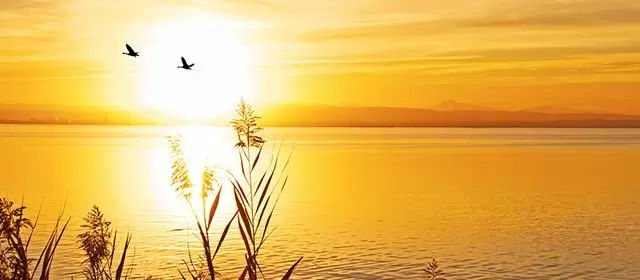 Horoskop pro Pátek 14 Listopad 2025