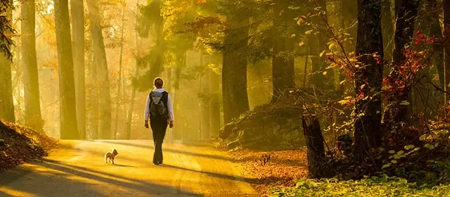 Horoskop pro Pondělí 17 Listopad 2025