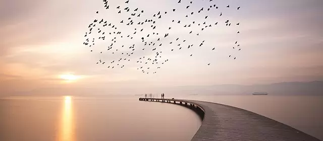 Horoskop pro čtvrtek 20 Listopad 2025