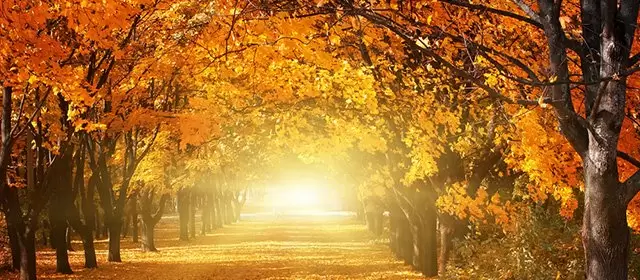 Horoskop pro Pondělí 24 Listopad 2025