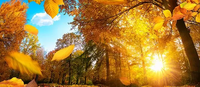 Horoskop pro Středa 26 Listopad 2025