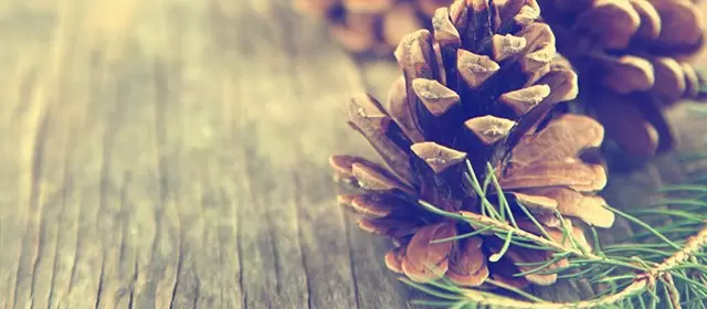 Horoskop pro Neděle 7 Prosinec 2025