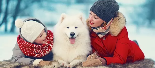 Horoskop pro Neděle 14 Prosinec 2025