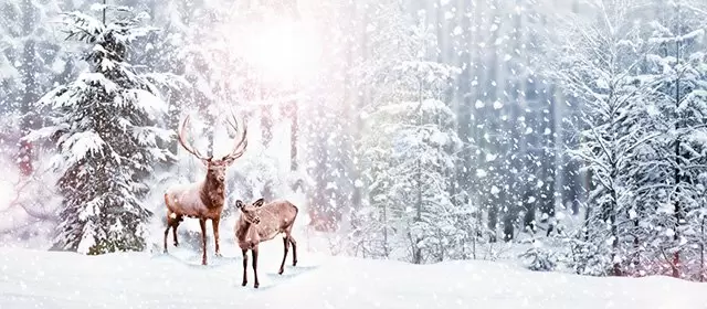 Horoskop pro Středa 17 Prosinec 2025