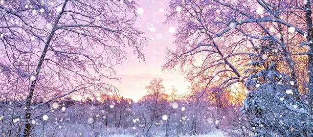 Horoskop pro Pondělí 22 Prosinec 2025